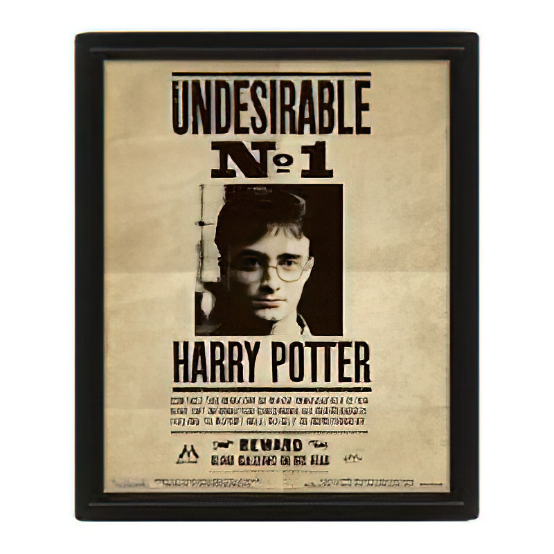Cuadro 3D Harry Potter Sirius Cuadro 3D Harry Potter Sirius