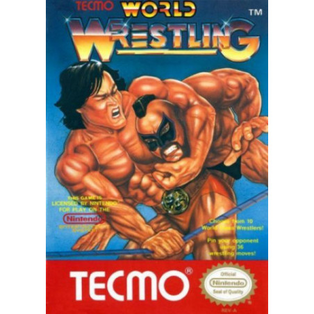 Tecmo World Wrestling (sin manual)