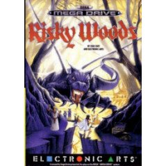 Risky Woods  - Mega Drive