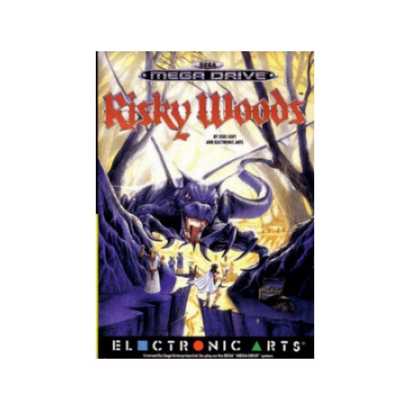 Risky Woods  - Mega Drive