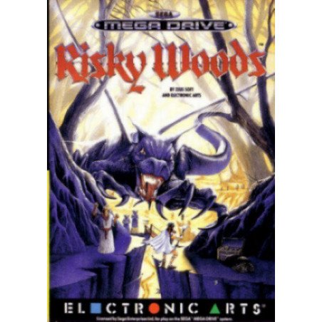 Risky Woods  - Mega Drive
