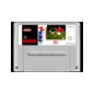 FIFA Soccer 96 (cartucho) - SNES