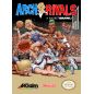 Arch Rivals: A Basket Brawl! - Nintendo NES